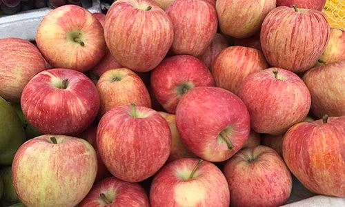 5 loai tao Tau dang ban day cho Viet, chi em de nham lan