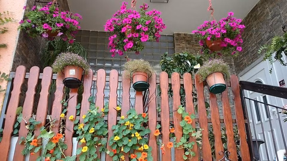 Kể về thời gian đào bê tông quanh nhà để trồng hoa, chị Huyền không giấu nổi sự xúc động khi kể lại: "Mình đào quanh nhà, lúc đó phải thuê cẩu bê tông đi, đồng thời mình nhờ mấy thanh niên cơ bắp vần mấy bê tông, sau đó cắt đường nhựa và thuê người xúc đá đi. Thậm chí, chị phải thường xuyên làm đêm để sáng ra không bị ảnh hưởng tới người đi đường".