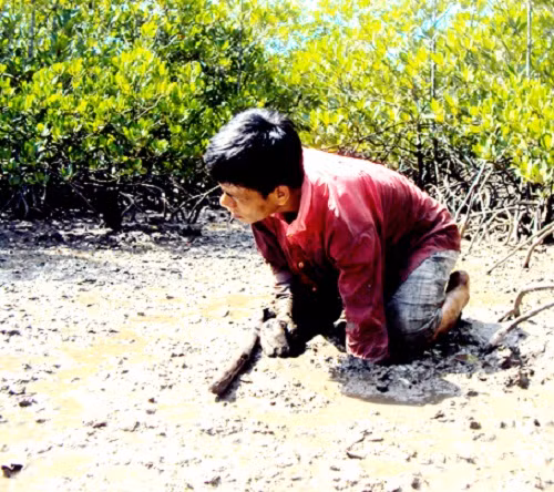 Họ dùng cuốc xới toang miệng hang rồi đưa móc câu thọc vào phía trong móc cua. Ảnh: Báo Đồng Nai.