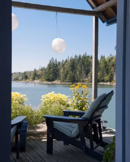 Không có phương tiện giải trí, phút thành thơi của chủ nhà đến từ những chậu cây xanh, hoa cỏ...