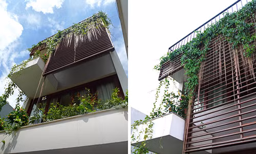 Bất cứ không gian nào trong nhà cũng có màu xanh của cây xen lẫn sắc hoa hồng, hoa giấy, dâm bụt. Ảnh: Qpdesign.