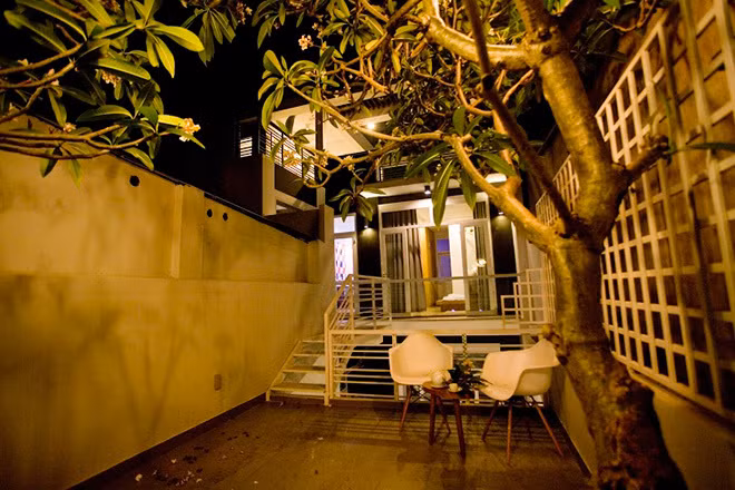 Nhà 3 tầng thiết kế kiểu hiện đại có cây cao xuyên thẳng từ tầng 1 lên tầng thượng. Ảnh: Kienthinh.