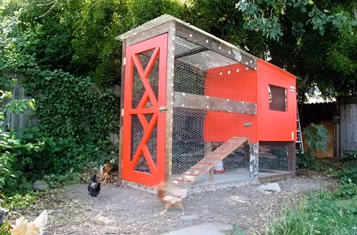 Chiếc chuồng đỏ nổi bật này được làm hoàn toàn từ gỗ, từ khung nhà, bậc thang, cho đến cửa chính. Nhà chắc chắn thế này thì tên trộm nào đột nhập nổi cơ chứ!