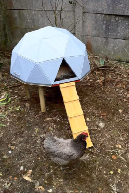 Chiếc chuồng đơn này tựa như một chiếc lều nghỉ dưỡng tí hon vậy. Tuy nhiên, nó chỉ chứa được một chú gà thôi.