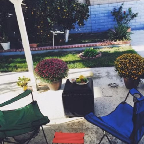 Điểm nhấn đặc biệt nhất của dinh thự này sắc xanh của cây cối ngập tràn từ ngoài đến vườn đến các góc nhỏ trong nhà. Trước cửa nhà Kim Hiền là bãi cỏ xanh rộng rãi.