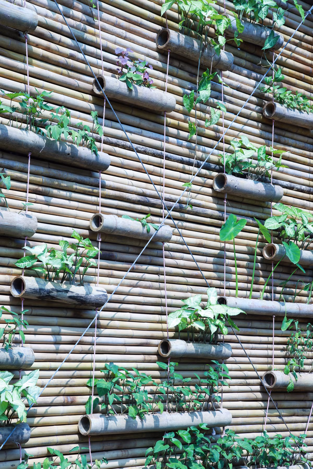 Nhờ đó, ngôi nhà bớt nắng nóng trong những ngày hè oi ả.