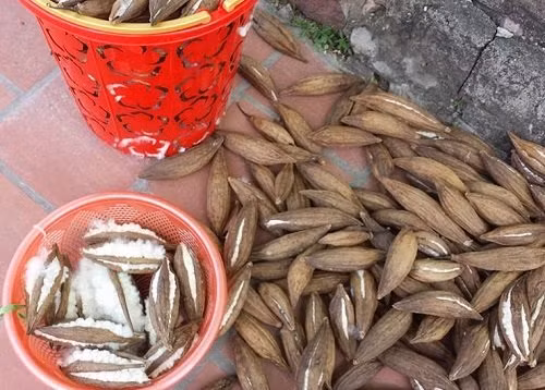 Chuyen la Ha Noi: Giua he oi buc thua chan bong gao ve dap-Hinh-6