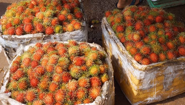 Mua chôm chôm mà không ăn thử trước: Có rất nhiều chị em khi mua loại quả này mà không ăn thử vì tin vào sự lựa chọn tinh tường của mình. Nhưng thực tế, bạn nên ăn thử trước khi mua. Bởi điều này sẽ khiến bạn kiểm chứng được chôm chôm ngon thực sự hay không.