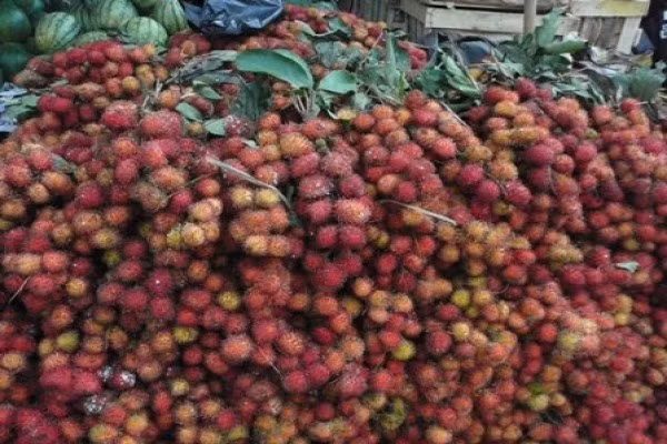 Mua chôm chôm đã được tưới nước lên quả: Để những trái chôm chôm được tươi lâu, lại làm tăng thêm cân nặng, người bán hàng thường tưới nước lên những chùm chôm chôm. Và nhiều bà nội trợ nghĩ rằng, mua chôm chôm như vậy cũng không sao.