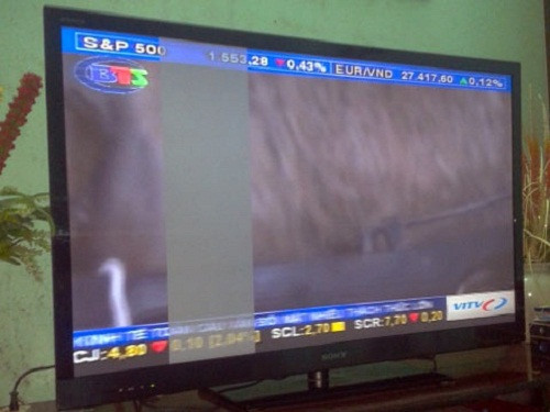 Cũng như nhiều tivi LED khác, ti vi LED Samsung có thể nhận những điểm ảnh bị mắc kẹt do đây là một phần của công nghệ màn hình LCD. Ảnh: Topgia.