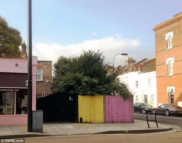 Nằm ngay đầu góc phố, hai mặt tiền hướng ra đường Fulham và đường Winchendon, góc vườn nhỏ có diện tích 40 m2 được bán với giá 120.000 bảng Anh. Ảnh: SWNS.