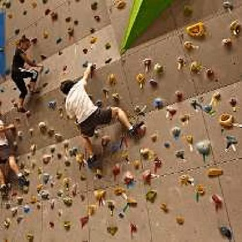 Bức tường leo núi cho nhân viên rèn luyện thể lực.