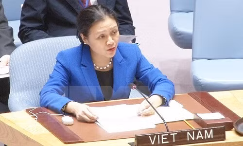 VN danh gia cao viec thong qua Hiep uoc cam vu khi hat nhan