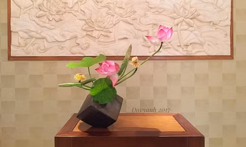 Bốn mùa xuân - hạ - thu - đông trôi qua với những mùa hoa bỏ lại, hoa đào, hoa sữa, hoa ngọc lan,... Mỗi loài hoa, anh Vy Anh lại dành một tình yêu riêng. Thế nhưng, riêng với hoa sen, anh không chỉ có một niềm yêu thích đặc biệt, mà đó còn là đam mê!