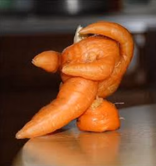 Không dễ để bắt gặp củ cà rốt hình thù kỳ quặc như thế này. Ảnh: BBC.