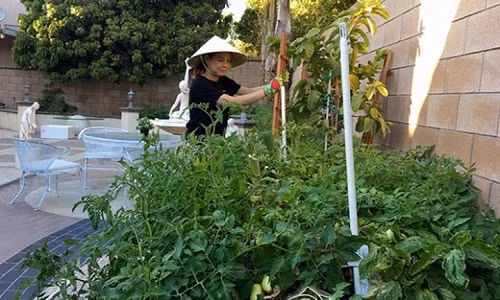 Nữ ca sĩ Thanh Thảo mua nhà riêng ở khu Fountain Valley (bang California, Mỹ)