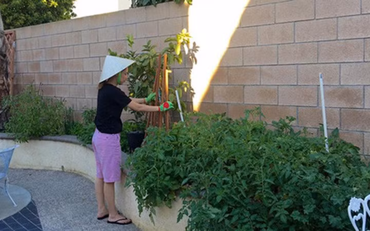Thanh Thảo ra dáng là một "nông dân" chính hiệu với quần ngố, áo phông giản dị và chiếc nón lá đặc trưng của Việt Nam.