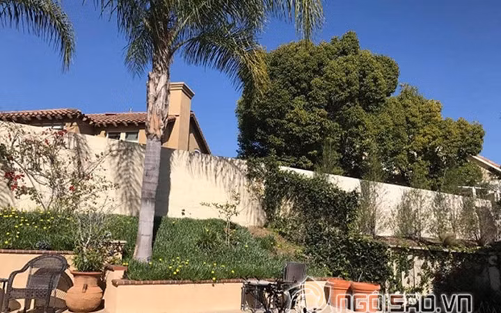  Khu vườn của Thanh Thảo không quá rộng khi được "quy hoạch" ở gần tường bao.