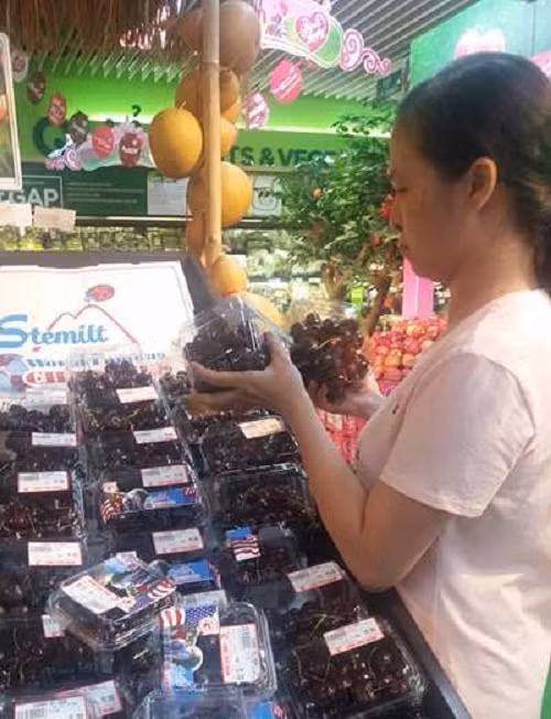 Ngo ngang cherry My gia 200.000 dong/kg o sieu thi-Hinh-2