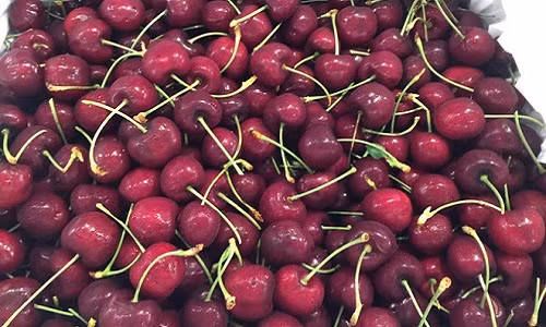 Ngo ngang cherry My gia 200.000 dong/kg o sieu thi
