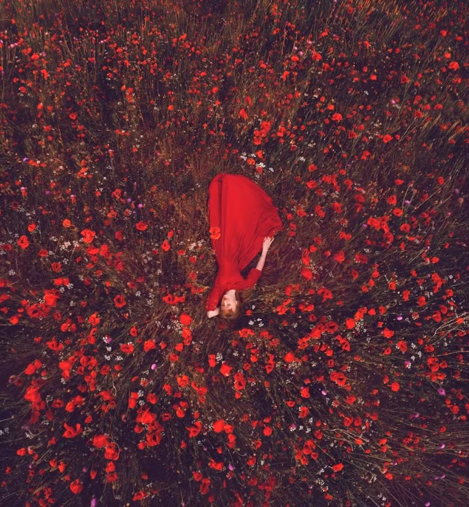 Cô gái trông vô cùng quyền quý trong sắc đỏ của mẫu váy xòe style cổ điển khi lạc giữa vườn hoa đỏ rực