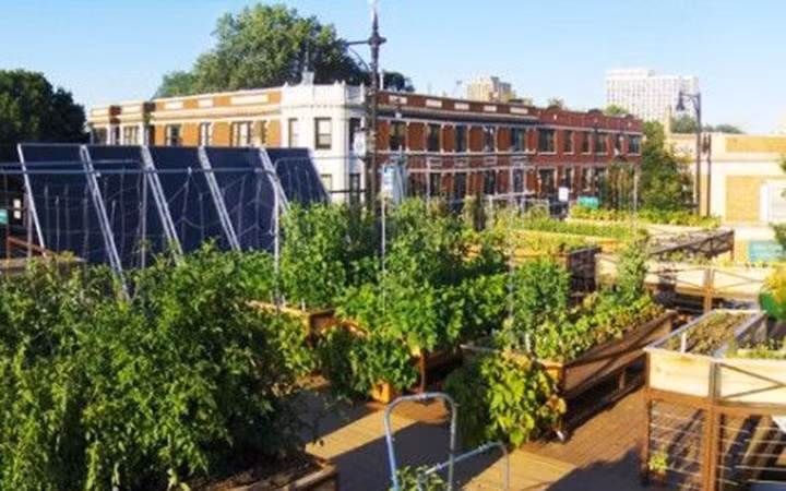 Nhờ nguồn thực phẩm tươi ngon kết hợp với tài năng của đầu bếp, nhà hàng từng được xếp vào top nhà hàng Xanh ở Mỹ. (Ảnh: Kiến Thức)