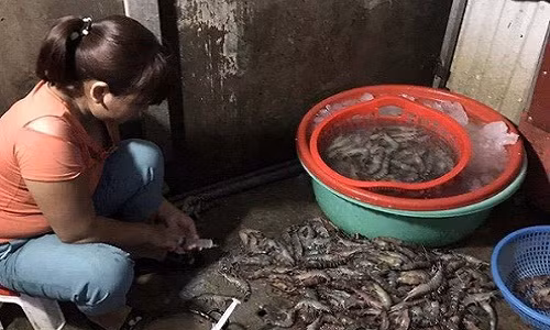 Bot agar ma gian thuong bom vao tom co hai nhu the nao?