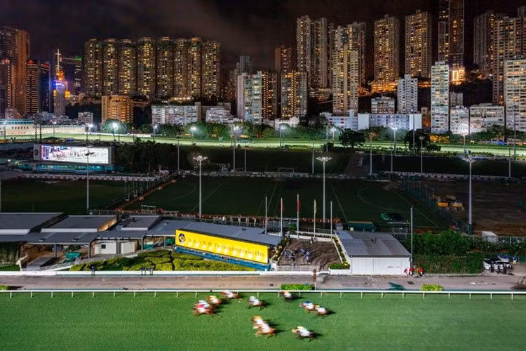 Trường đua ngựa Happy Valley: Trường đua ngựa Happy Valley nằm giữa các tòa nhà cao tầng là một địa điểm đua ngựa đẳng cấp thế giới. Happy Valley được xây dựng từ năm 1845, ban đầu chỉ nhằm phục vụ giải trí cho người Anh ở Hong Kong. Năm 1846, cuộc đua ngựa đầu tiên được tổ chức. Theo thời gian, nơi đây dần trở thành địa điểm vui chơi quen thuộc của người Hong Kong và du khách.