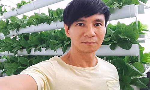 Mới đây, người hâm mộ có dịp chiêm ngưỡng vườn rau xanh mướt của vợ chồng Lý Hải - Minh Hà trên trang Facebook cá nhân.