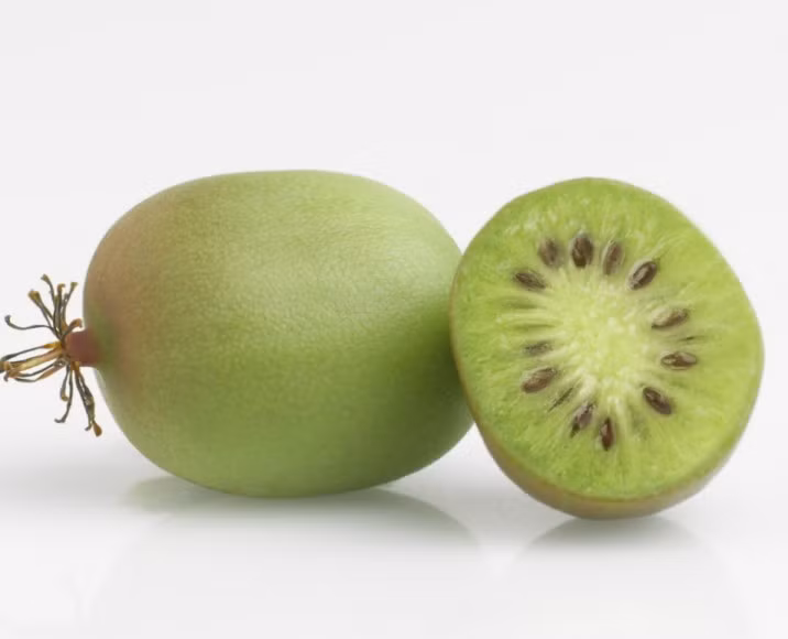Kiwi tí hon nhỏ bằng 1/10 so với kiwi thường. Ảnh: Fruitnet.
