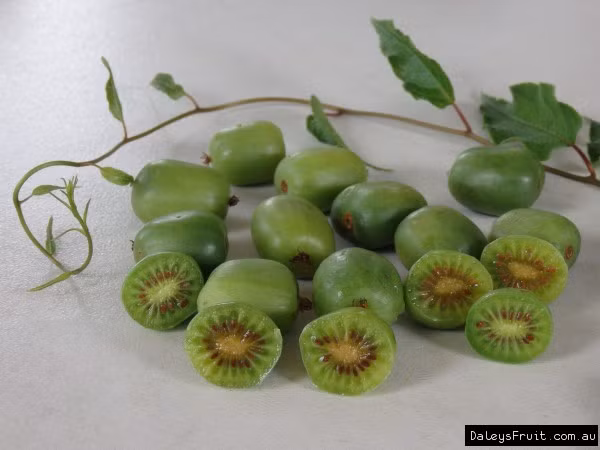 Tuy nhiên, khi nhai kỹ sẽ thấy mùi vị hòa quyện của dâu, dứa và quýt rất thơm. Ảnh: Daleysfruit.