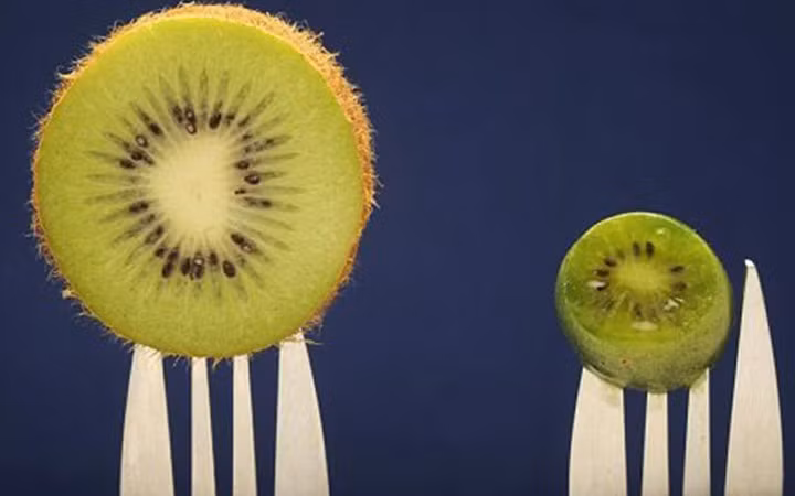 Quả kiwi thông thường (trái) và kiwi tí hon (phải). Ảnh: Vov.