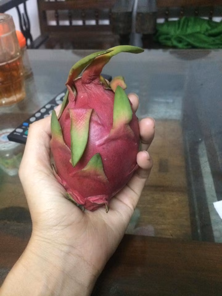 Loại thanh long này được các tiểu thương quảng cáo là nhập về từ Sơn Tây, Kim Bôi (Hòa Bình), Vĩnh Phúc, Yên Bái... Ảnh: Facebook.