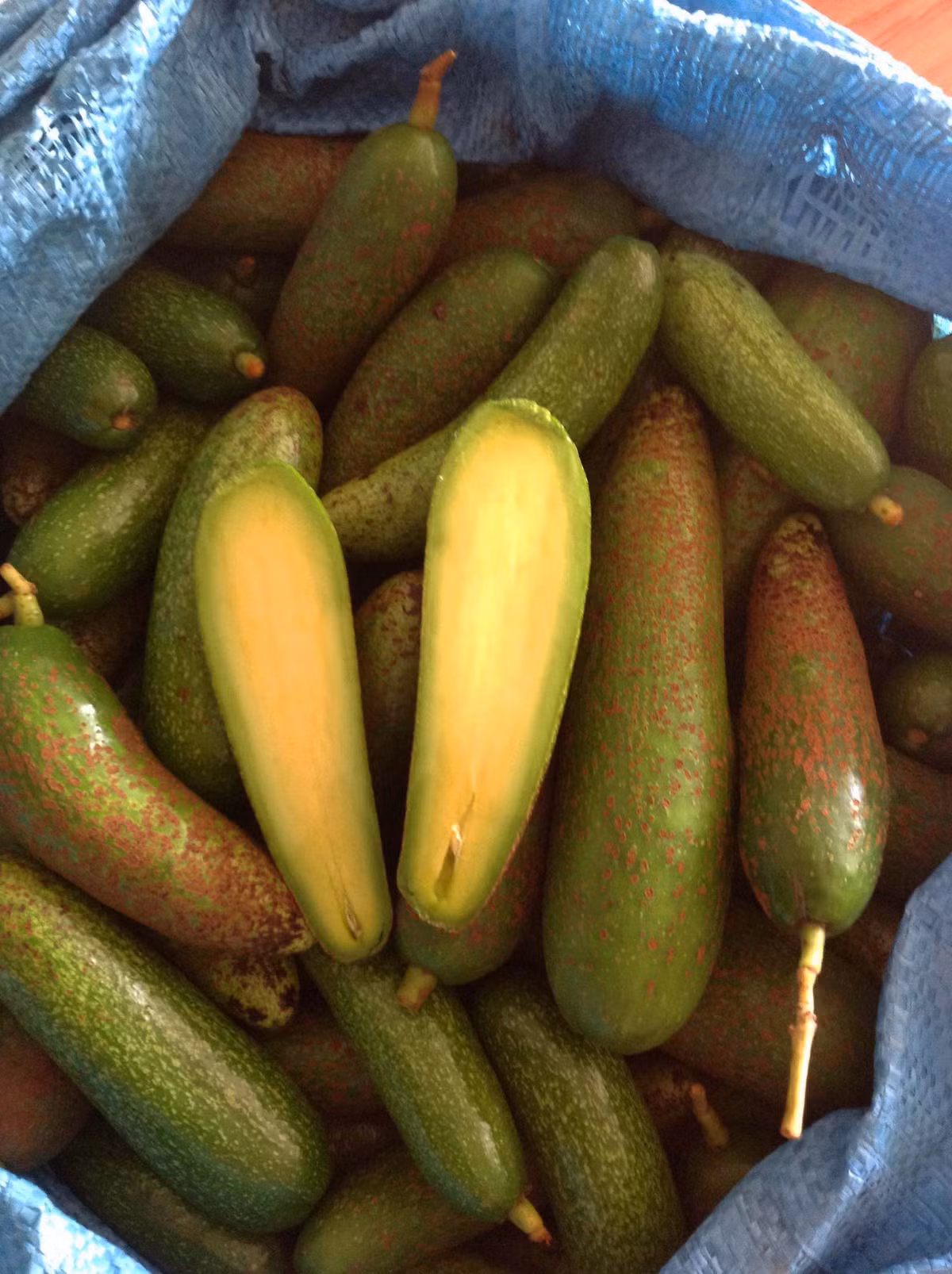 Đặc điểm nổi bật của bơ không hạt là thơm ngon, ruột vàng, không có hạt hoặc hạt rất bé. Ảnh: Facebook.