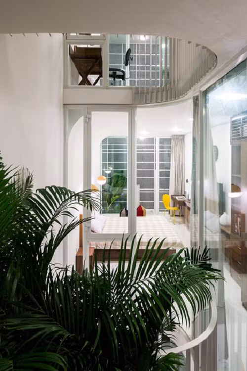 Cây xanh trong nhà giúp tăng tính thẩm mỹ và tạo không gian xanh.