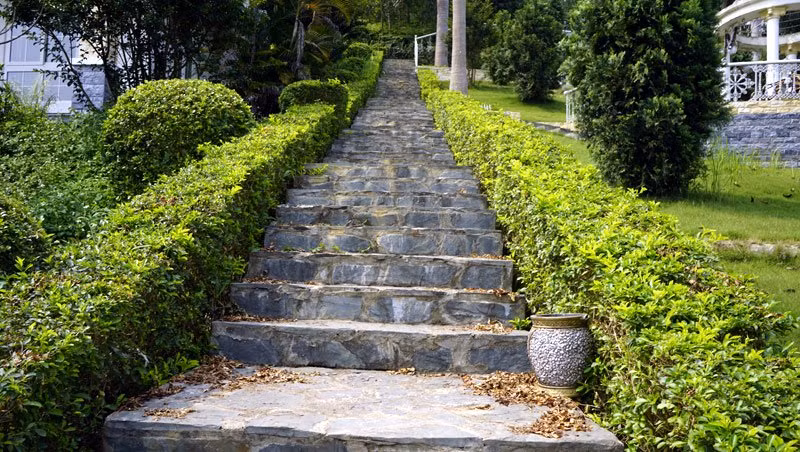 Tuy nhiên, người nhạc sĩ này vẫn thấy tiếc vì một phần nhỏ trong bản thiết kế gốc của anh bị thay đổi khi căn biệt thự chính thức được xây dựng và hoàn thành.