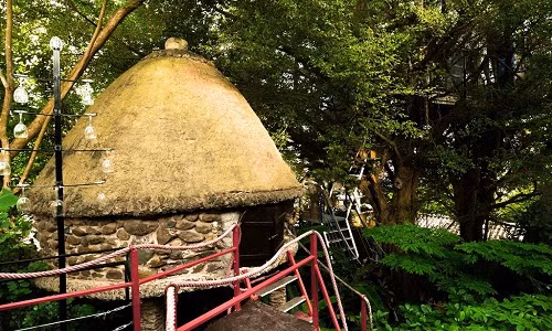 Ngôi nhà trên cây độc đáo của nghệ sĩ Đào Anh Khánh tại đường Ngọc Thuỵ, Gia Lâm, Hà Nội. Ảnh: Zing.