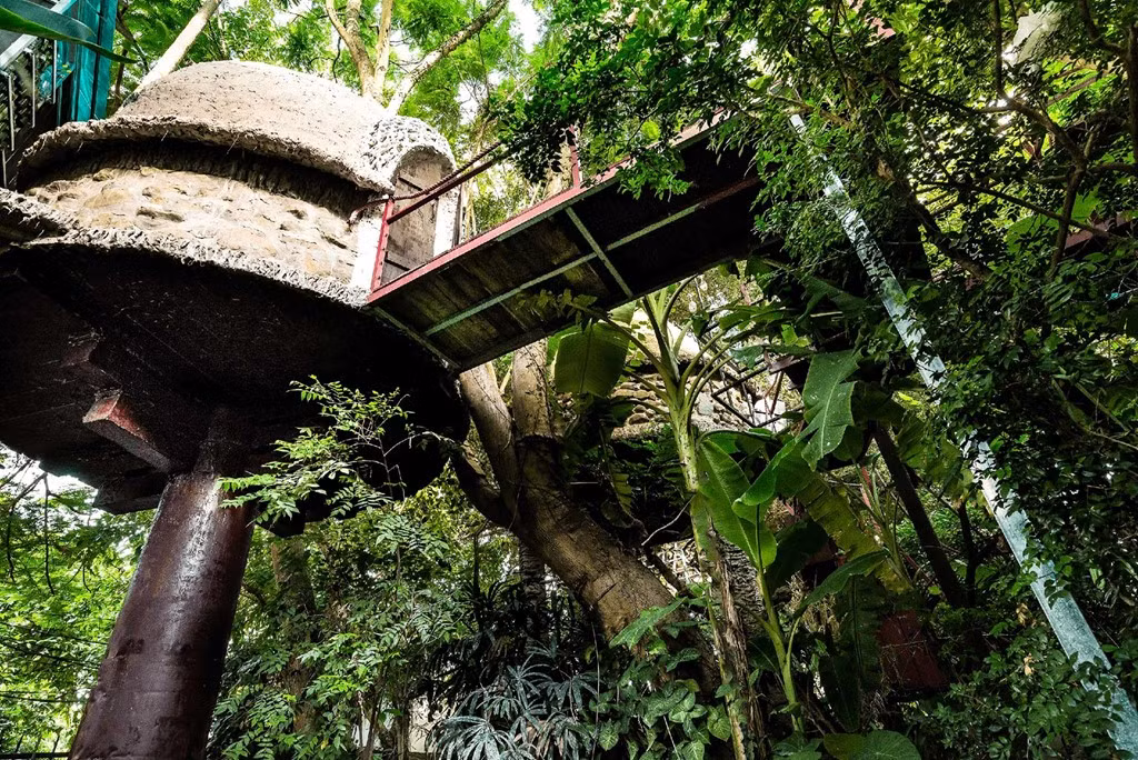 Căn nhà như một công trình nghệ thuật với sự hòa quyện của thiên nhiên. Ảnh: Zing.