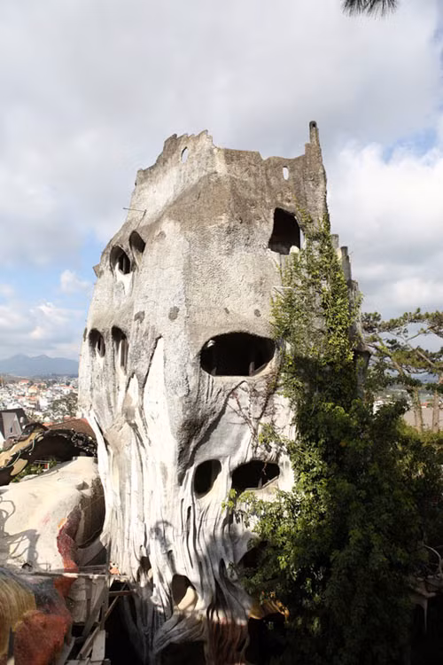 Cửa sổ được cắt theo hình thù kỳ lạ, đặt trong những chỗ lồi lõm của bức tường hình bầu dục. Ảnh: Crazyhouse.