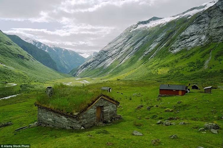  Nhà cỏ tuyệt đẹp dưới chân núi phủ đầy tuyết ở Na Uy. Ảnh: Dailymail.