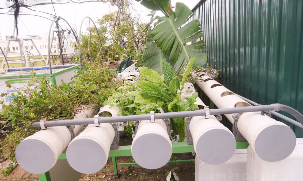 Một phần cũng được bán trong trung tâm thương mại.