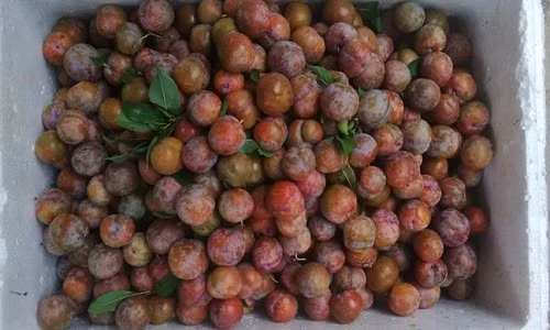 Man hau loan gia, hang Trung Quoc doi lot Viet Nam