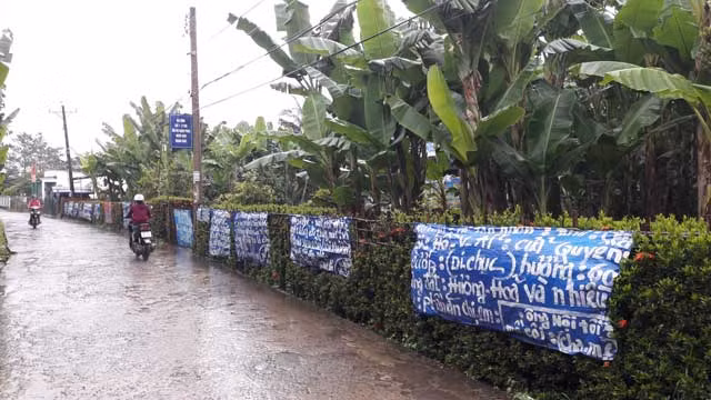 La lung nha phu kin chu o Can Tho-Hinh-3