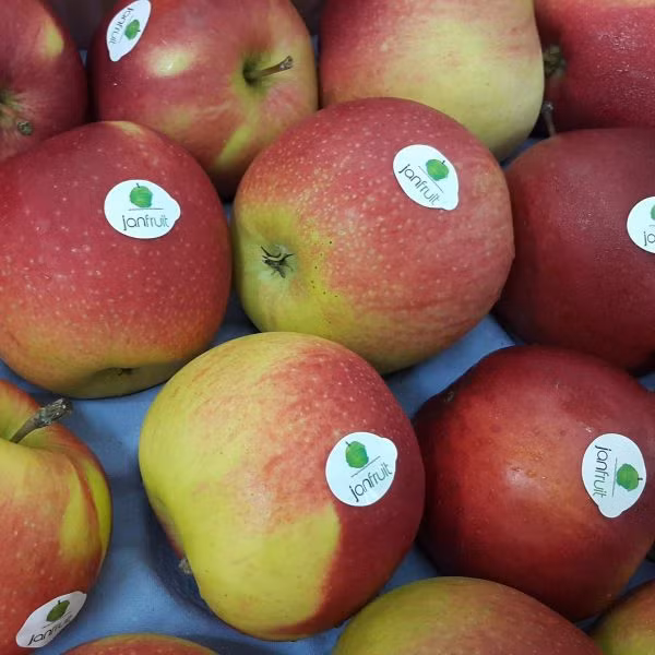 Cach phan biet tao nhap khau va tao Trung Quoc 