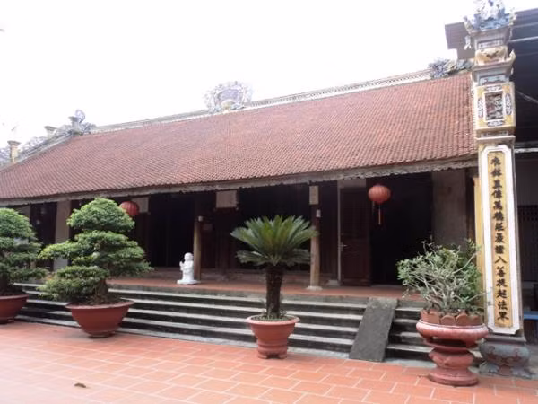 Chất liệu gỗ tự nhiên kết hợp không gian sân vườn cùng cây cối xanh mát tạo nên không gian thanh bình, thoáng đãng. Ảnh: Giadinhvietnam.