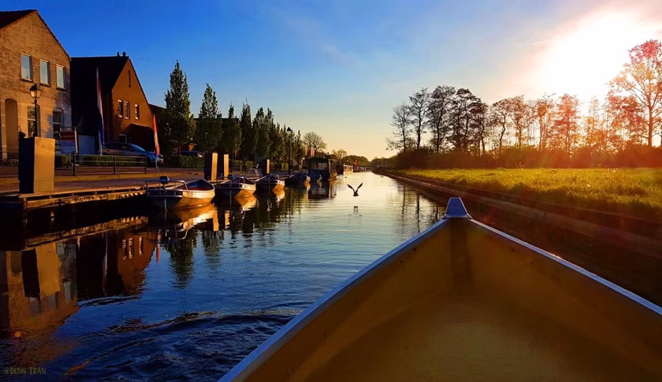 Những chú vịt bay qua mũi thuyền, kêu vang vọng một vùng tĩnh mịch.