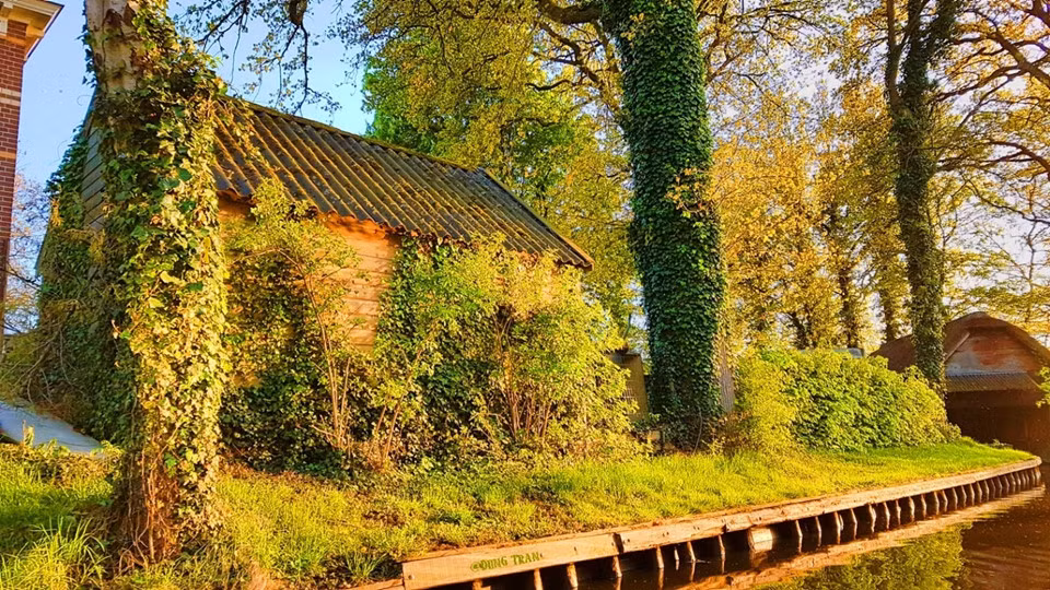 Các ngôi nhà ẩn mình bên dưới những tán cây và những loại dây leo phủ kín càng tăng vẻ bí ẩn.