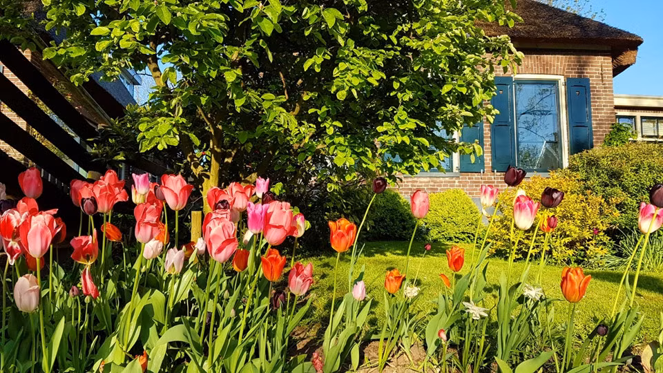 Chiếc thuyền nhẹ nhàng lướt đi dọc theo kênh rạch nhỏ, qua những ngôi nhà lợp mái tranh tồn tại từ thế kỷ 18, chắc chắn mang lại cho bạn cảm giác không thể nào quên.