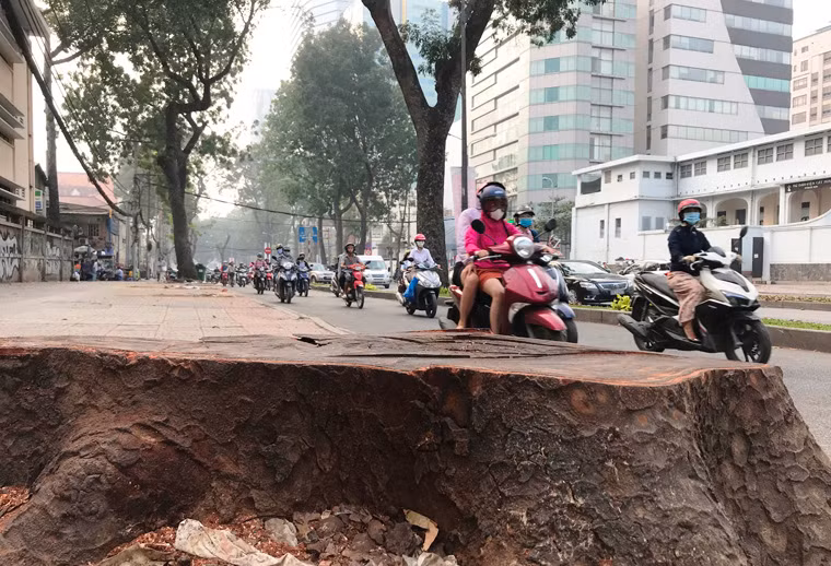 Những ngày qua, nhiều người qua lại tuyến đường Tôn Đức Thắng (từ bờ sông Sài Gòn đến đại lộ Lê Duẩn, quận 1, TP.HCM) cảm nhận sự thay đổi rõ rệt vì sự trống trải trên tuyến đường được xem là lãng mạn nhất TP này.
