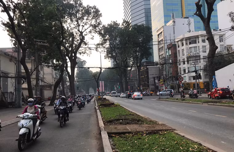 Được biết, tổng số cây xanh trên đường Tôn Đức Thắng phải đốn hạ, di dời để xây cầu Thủ Thiêm 2 là 258 cây.